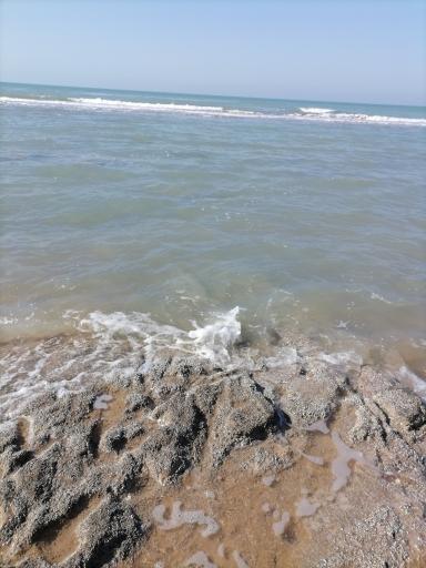 عکس ساحل دیلم