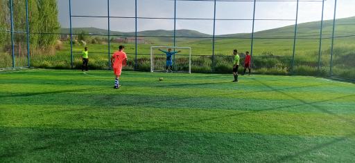 عکس چمن مصنوعی آبش احمد