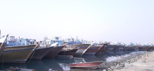 عکس ساحل دیلم