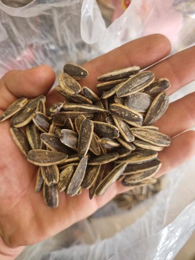 عکس موادغذایی نخل نشان