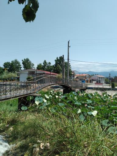 عکس تالاب کومله