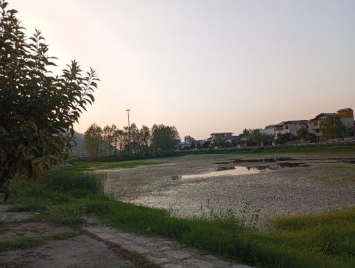 عکس تالاب کومله