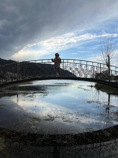 عکس تالاب کومله