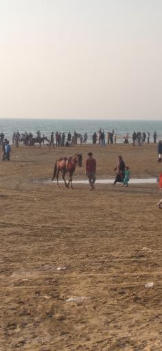 عکس ساحل دیلم