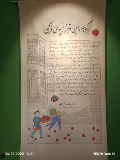 عکس خانه مینایی