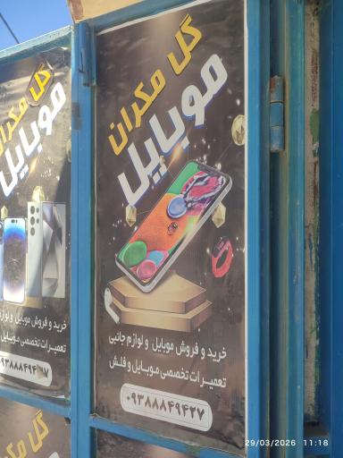 عکس گل مکران موبایل