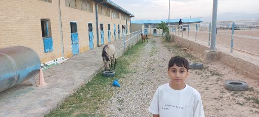 عکس باشگاه سوارکاری آرادلند