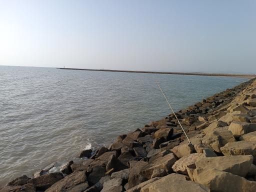 عکس ساحل دیلم