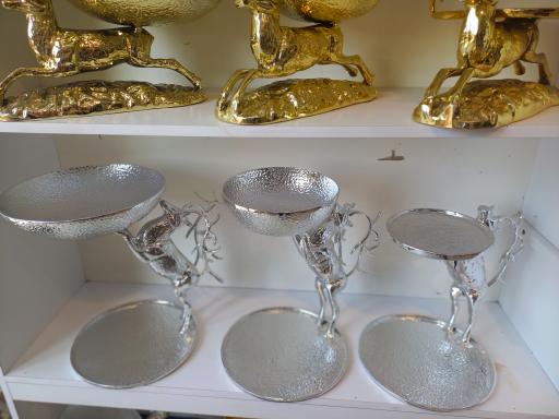 عکس گالری جانا