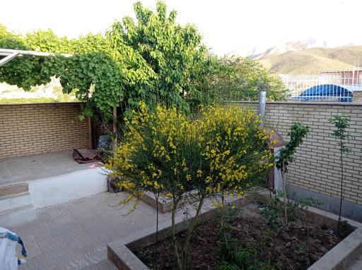 عکس اقامتگاه های ویلایی آسایش 