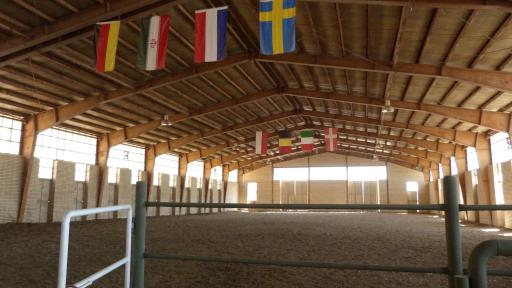 عکس باشگاه سوارکاری پادوک