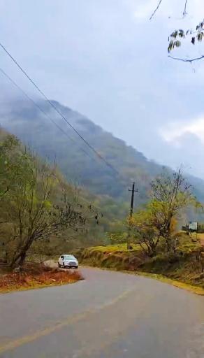 عکس بلوردکان