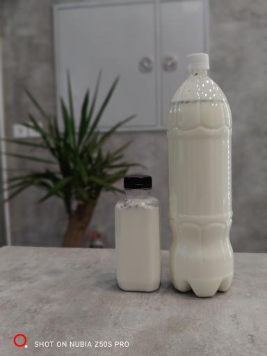 عکس لبنیات گوسفندی و بزی شیر بنوشید