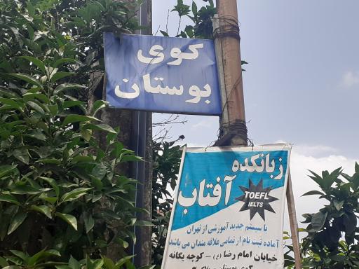 عکس زبانکده آفتاب 