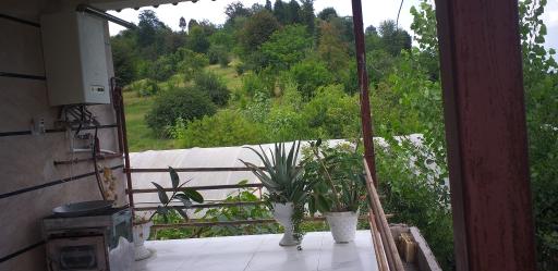 عکس گلخانه آلوئه ورا عباس زاده