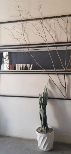 عکس اچ کافه(H cafe)