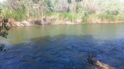 عکس کافه رستوران کلبه ساحلی ارس 