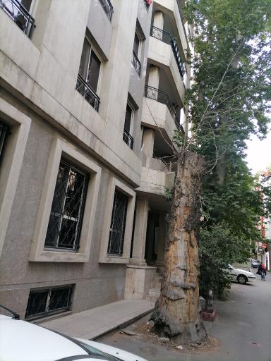 عکس سونوگرافی آوا