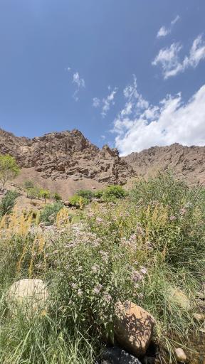 عکس روستای بوژان