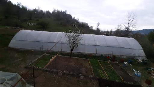 عکس گلخانه آلوئه ورا عباس زاده