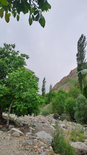روستای بوژان