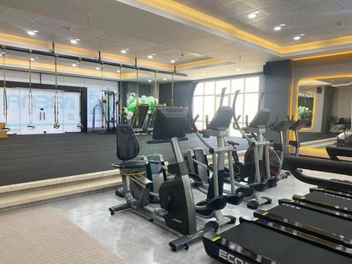 عکس باشگاه آرنا