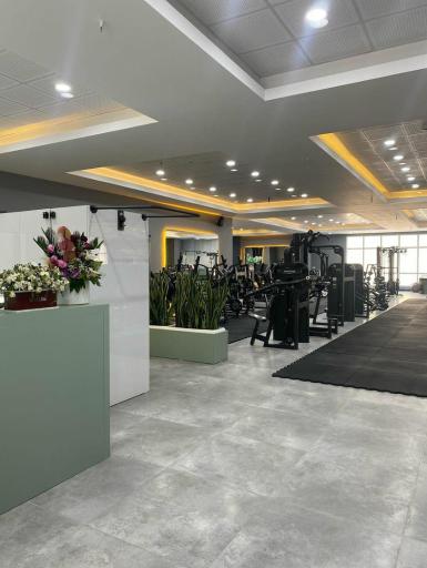 عکس باشگاه آرنا