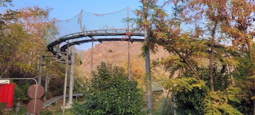 عکس سورتمه دربند تهران