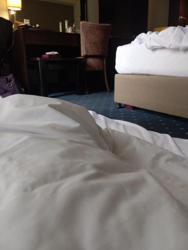 عکس هتل پارسیان اوین