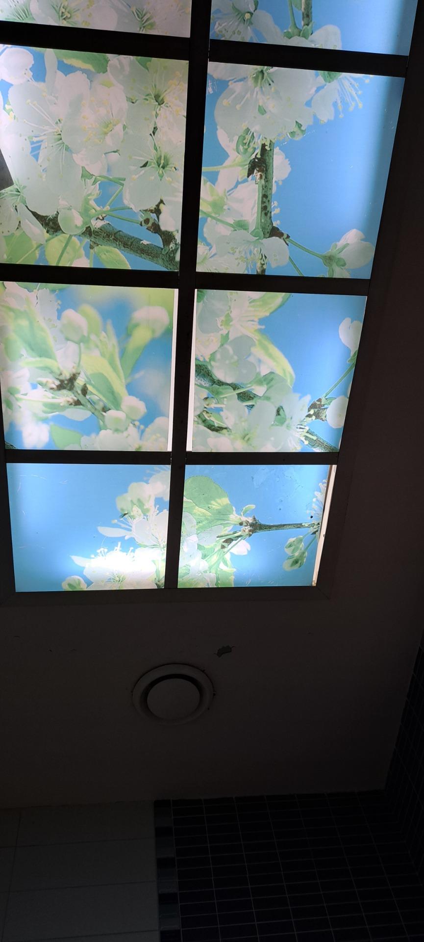 عکس هتل پارسیان اوین