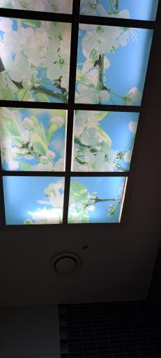 عکس هتل پارسیان اوین