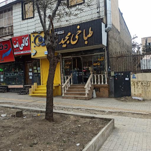 عکس طباخی مجید