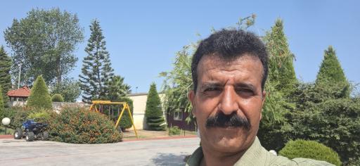 متل شفق