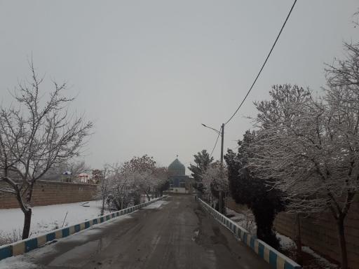 عکس قهه