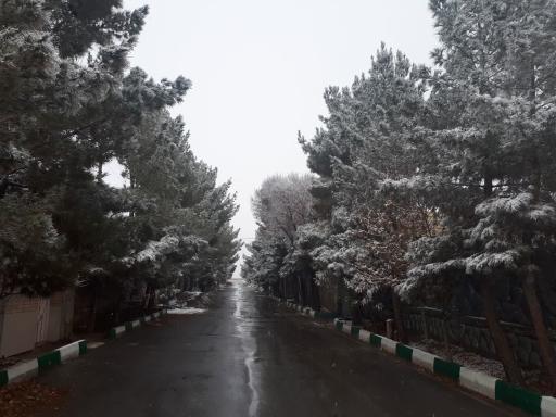 عکس قهه