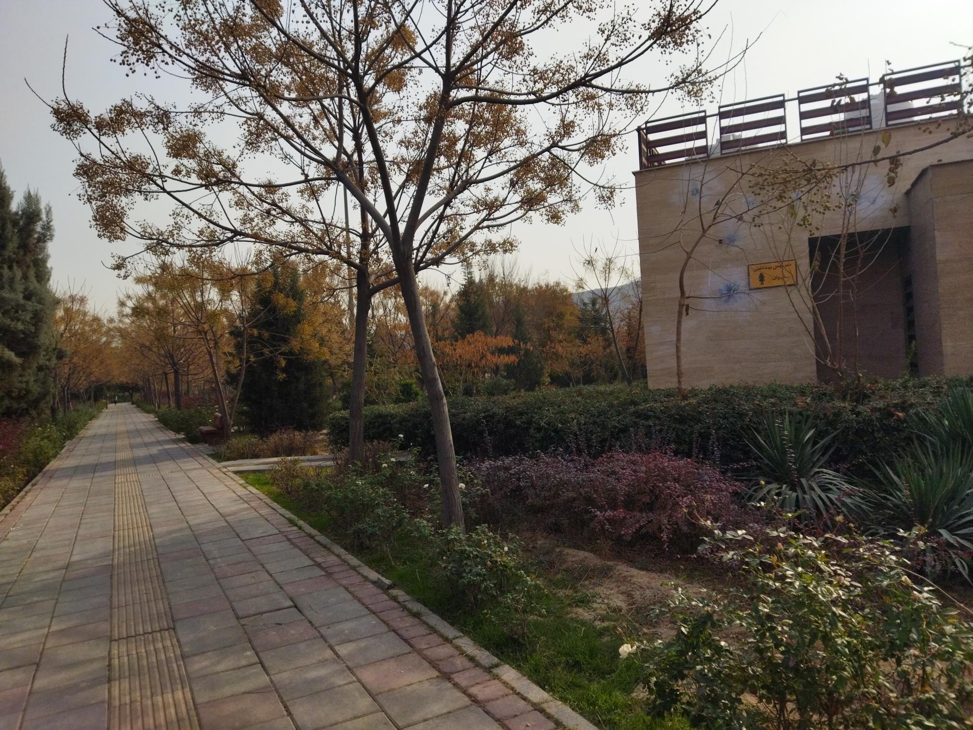 عکس سرویس بهداشتی 