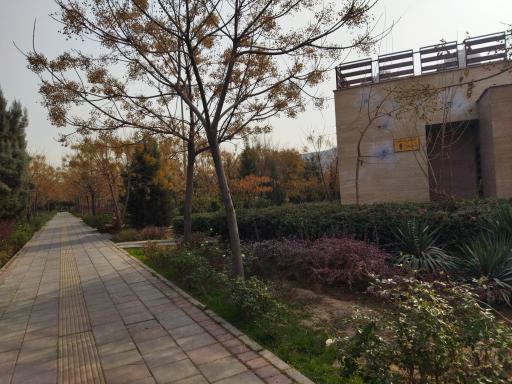 عکس سرویس بهداشتی 