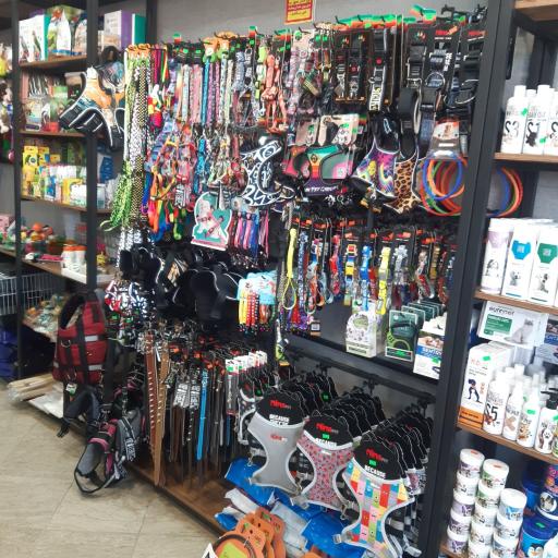 عکس پت شاپ مد پت