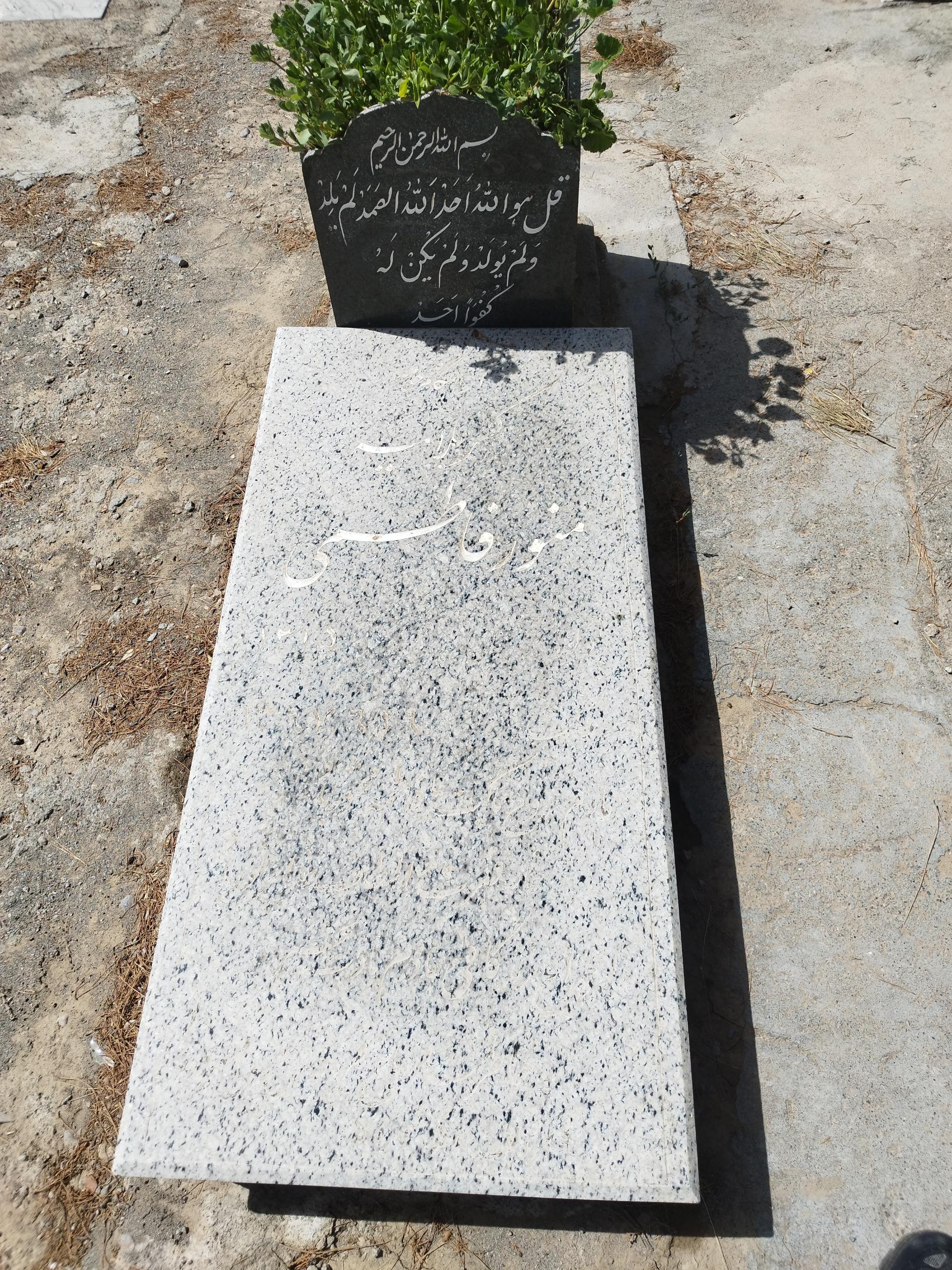 عکس مزار منور فاطمي