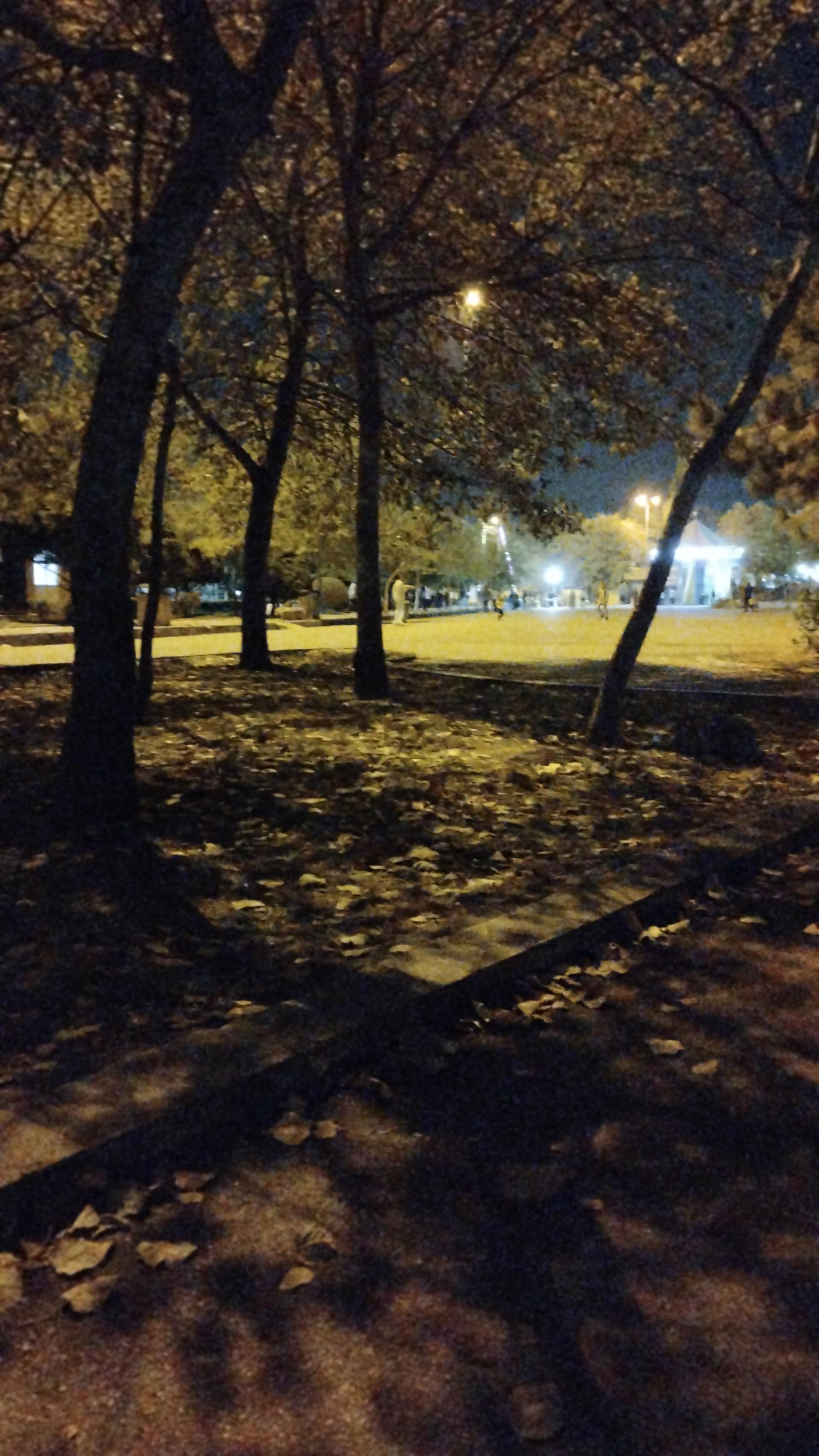 عکس پارک مادر