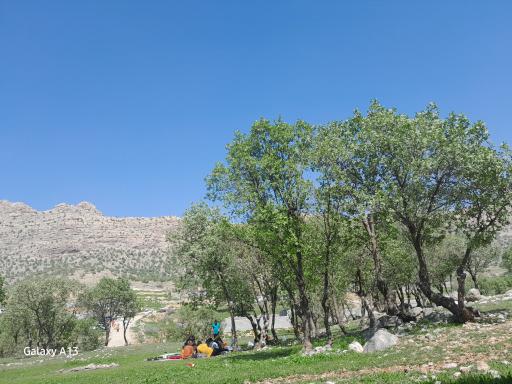 عکس پارکینگ شبانه روزی امین