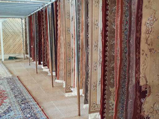 عکس قالیشویی عرفان