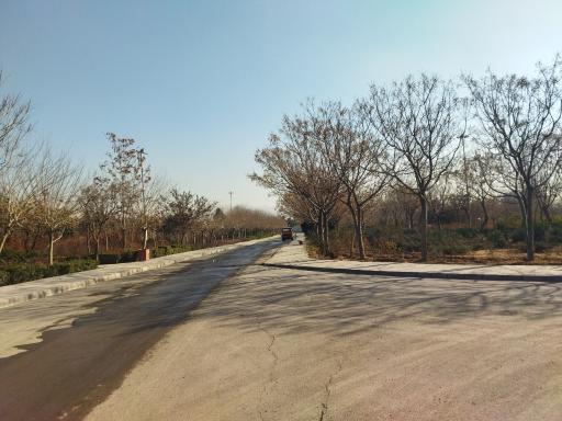 عکس بوستان شهید علی صفایی