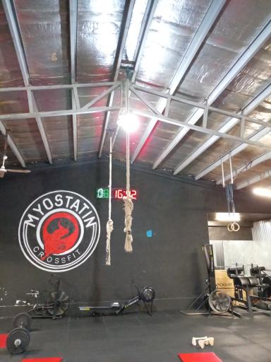 عکس باشگاه امام علی(ع)