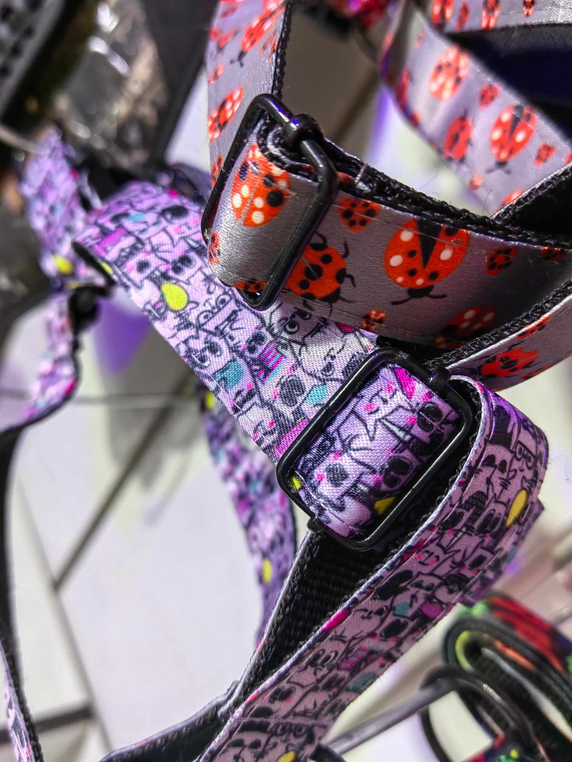 عکس پت شاپ پونک جام جم