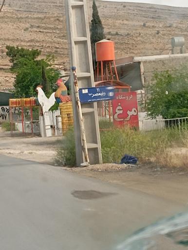 عکس فروشگاه مرغ