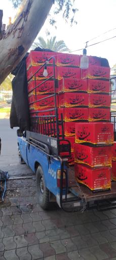 عکس نمایندگی زغال بیست