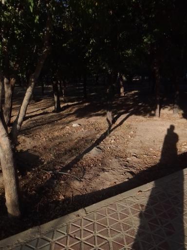 عکس پارک آزادگان