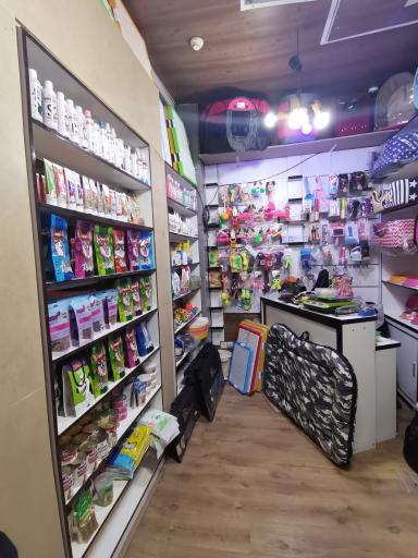 عکس پت شاپ پونک جام جم