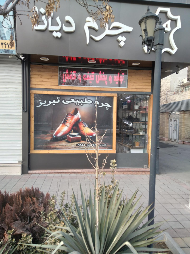 فروشگاه کفش